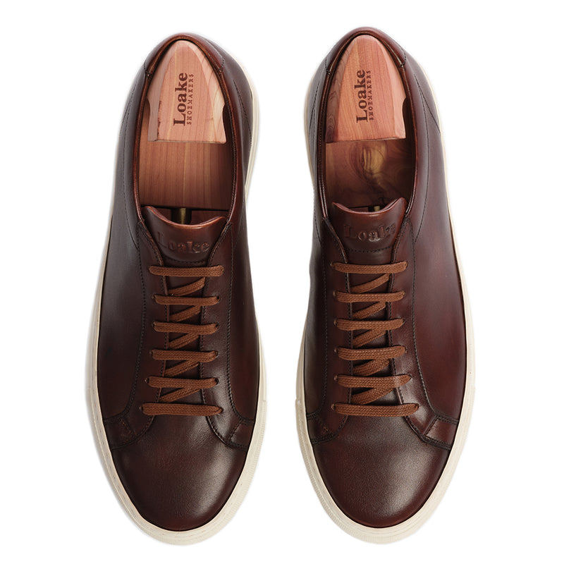 Sneaker Sprint Dark Brown