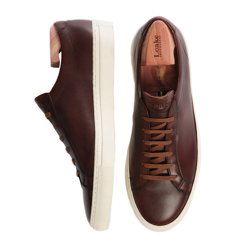 Sneaker Sprint Dark Brown